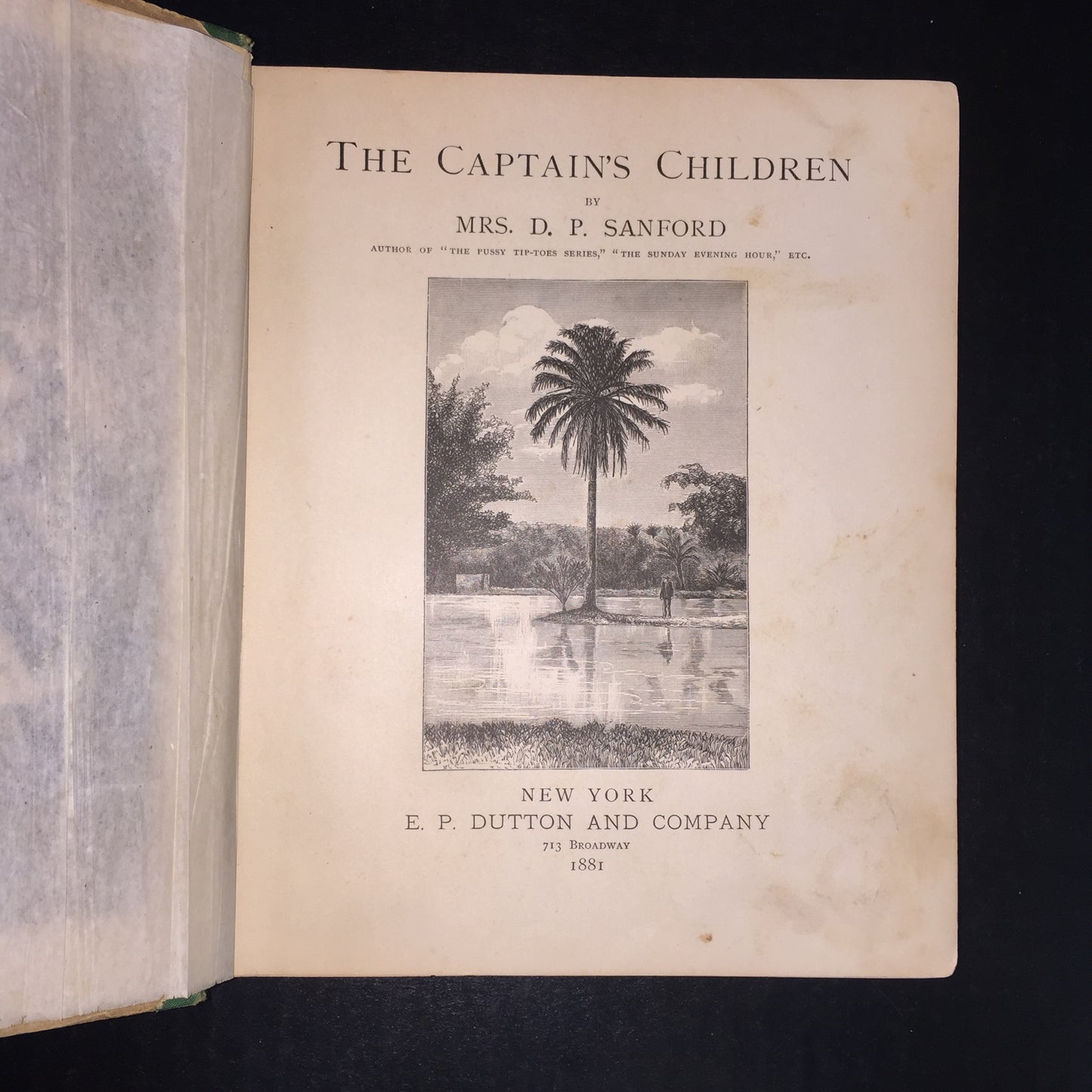 The Captain's Children - D. P. Sanford - 1881