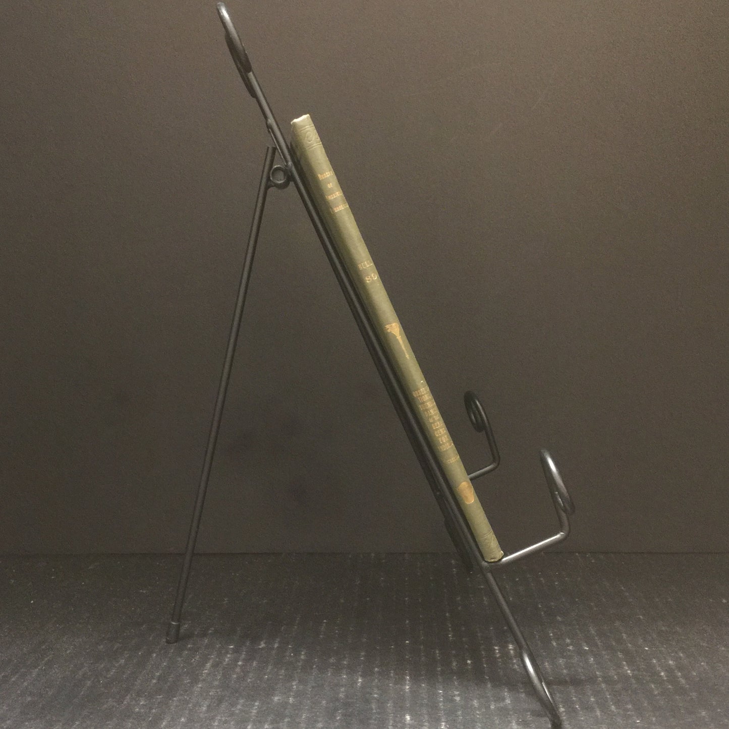 Observations On The Thunder Dance Of The Bear Gens Of The Fox Indians - Truman Michelson - 1929