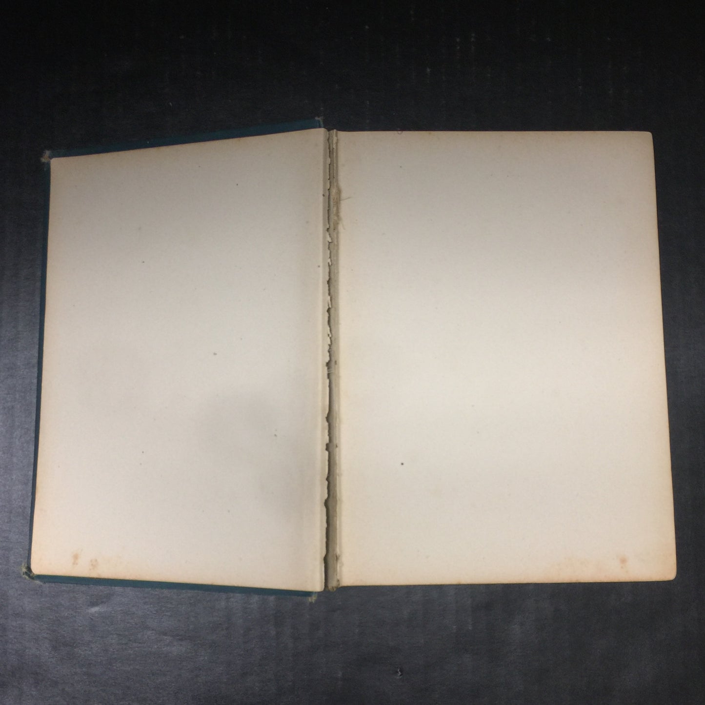 The Hearthstone - Laura C. Holloway - Spine Damage - 1889