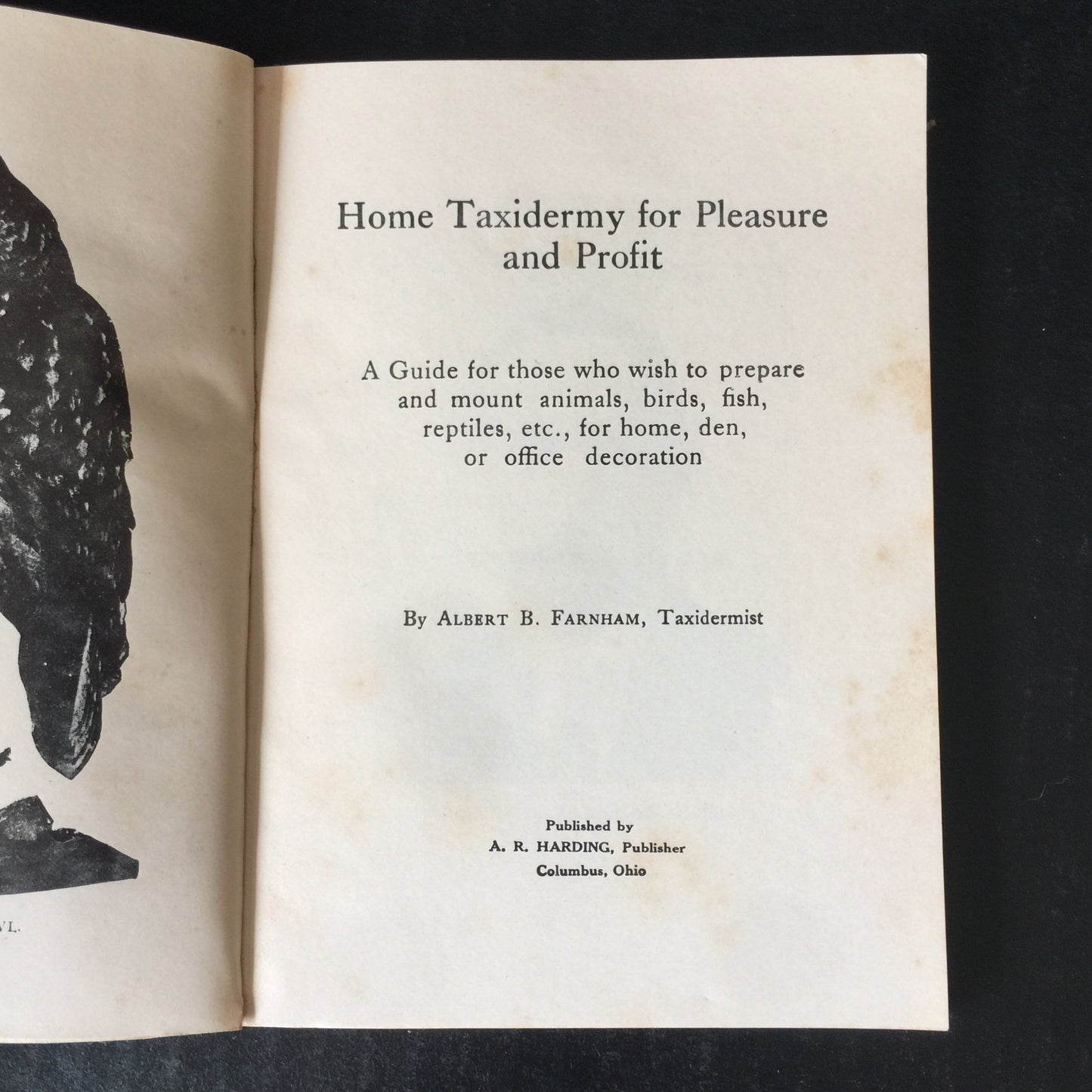 Home Taxidermy for Pleasure and Profit - Albert B. Farnham - 1944