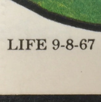 A Family Guide To Football - NFL - 1967