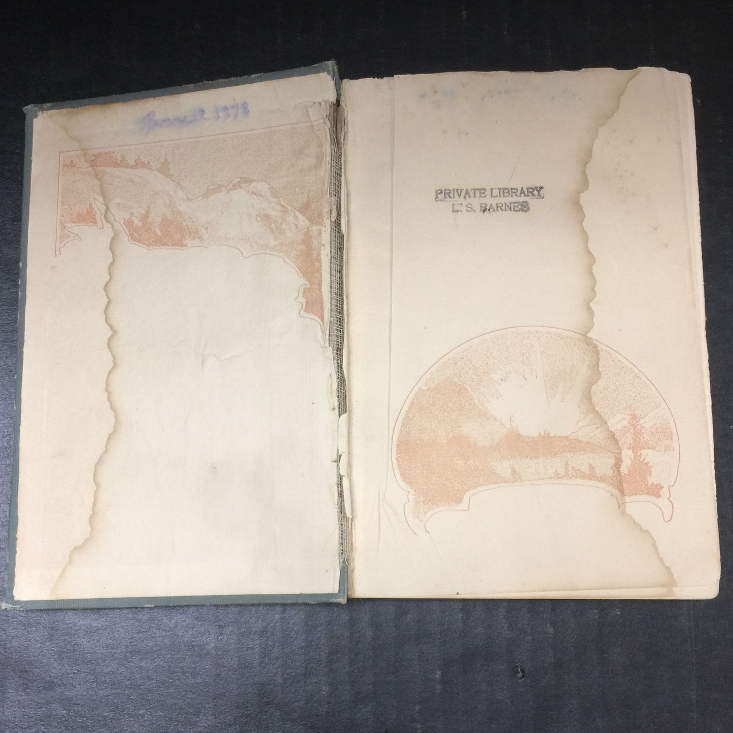 White Fang - Jack London - First American Edition - Spine and Water Damage - Ex-Library - 1906