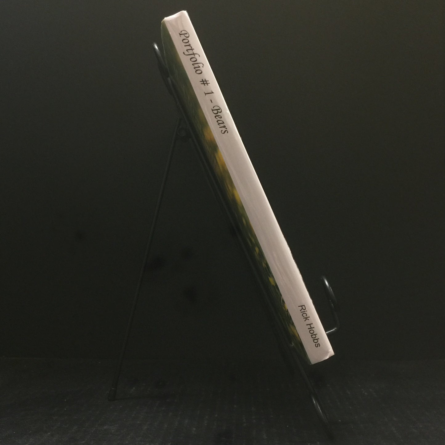 Portfolio #1 - Bears - Rick Hobbs - 2009