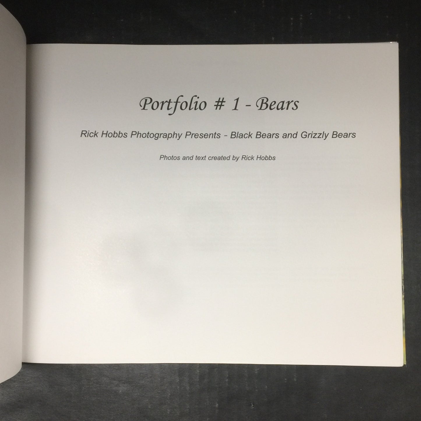 Portfolio #1 - Bears - Rick Hobbs - 2009
