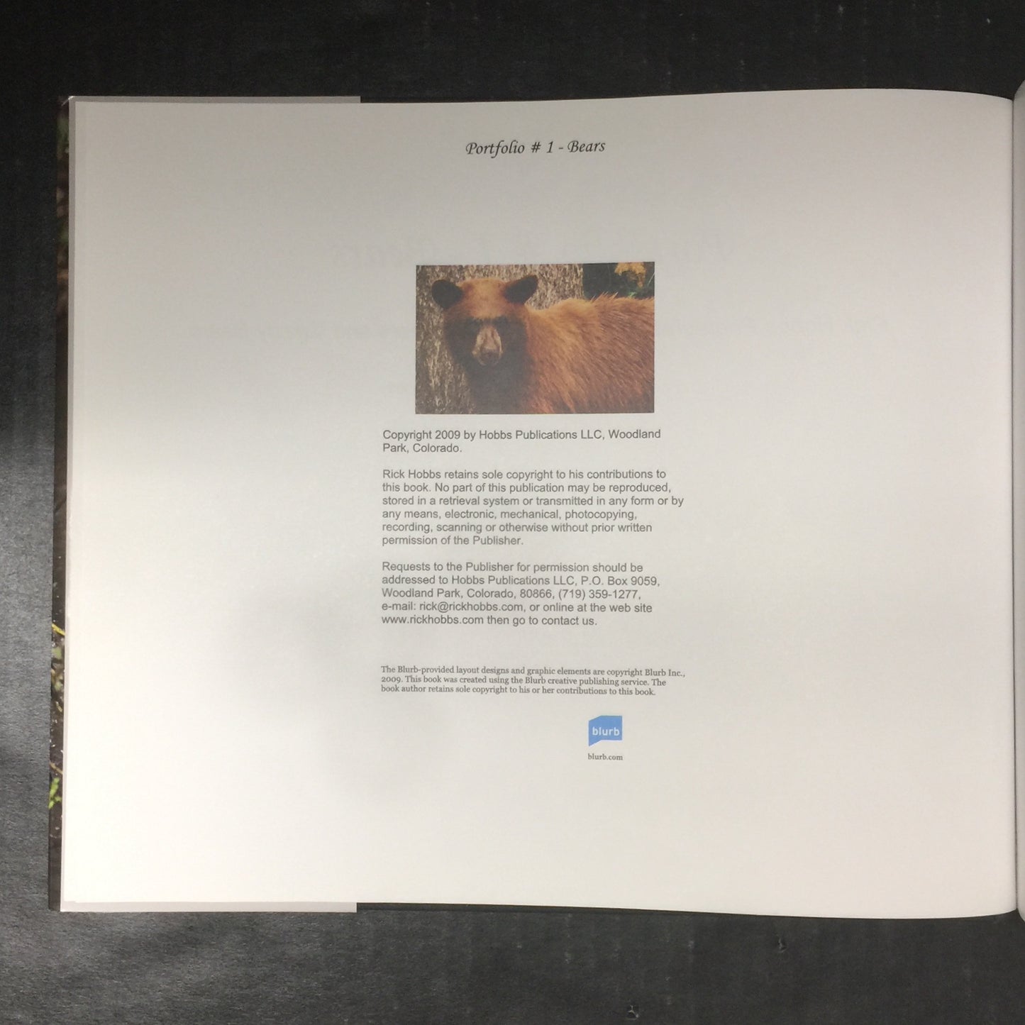 Portfolio #1 - Bears - Rick Hobbs - 2009