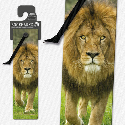 3D Bookmarks