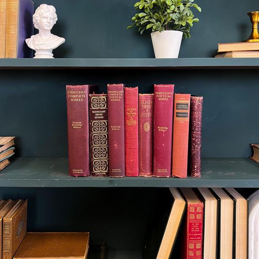 Books by the Foot | Vintage Classic Ornate Decorative Designer Bundle | Collection of Hardcover Books | Display Prop & Staging | Home Decor