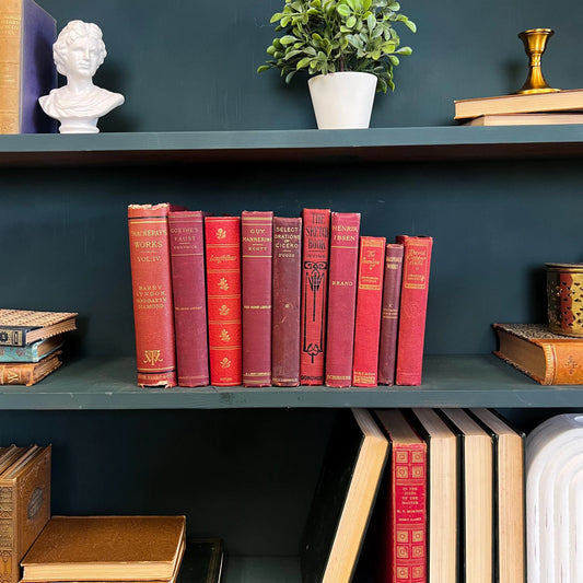 Books by the Foot | Vintage Classic Ornate Decorative Designer Bundle | Collection of Hardcover Books | Display Prop & Staging | Home Decor