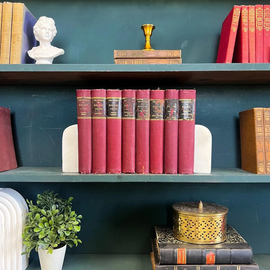 Books by the Foot | Classic Novels | Decorative Designer Bundle | Collection of Real Readable Hardcover Books | The Novels of Balzac