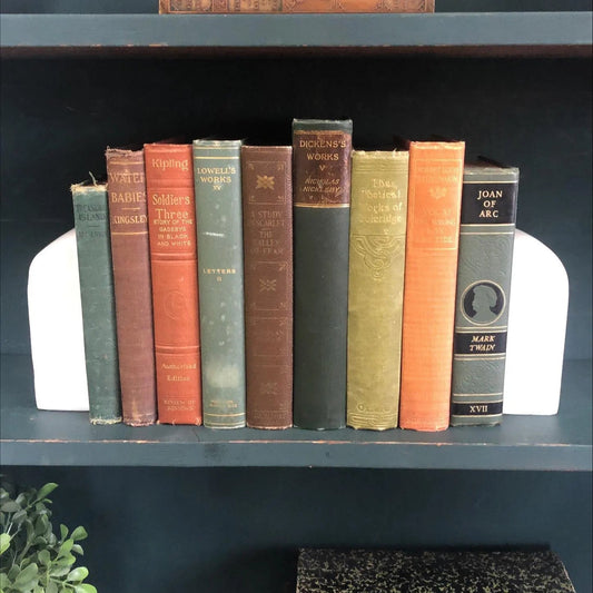 Books by the Foot | Vintage Classic Decorative Designer Bundle | Collection of Hardcover Books | Display Prop & Staging | Home Decor