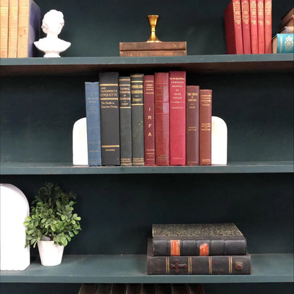 Decorative Mixed Non-Fiction Books by the Foot: Display Bundle - 9 Hardcover Books