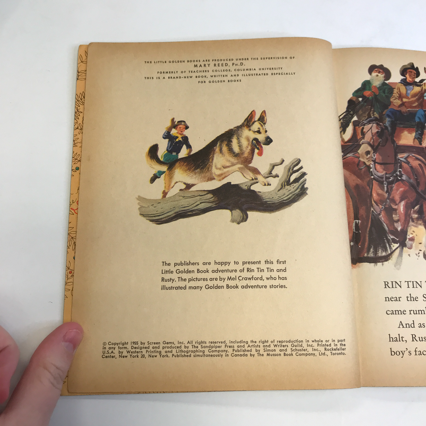 Rin Tin Tin and Rusty - Monica Hill - "A" Print - 1955 - Little Golden