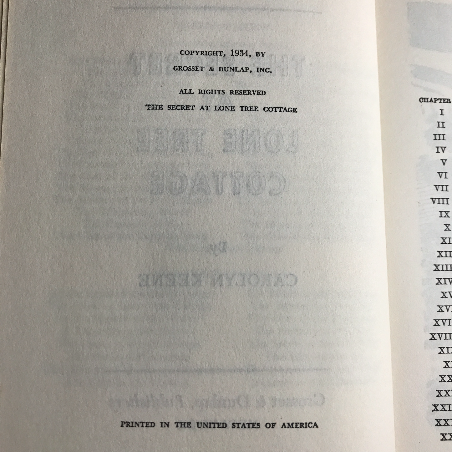 The Secret of Lone Tree Cottage - Carolyn Keene - The DNA Girl Series - 1934