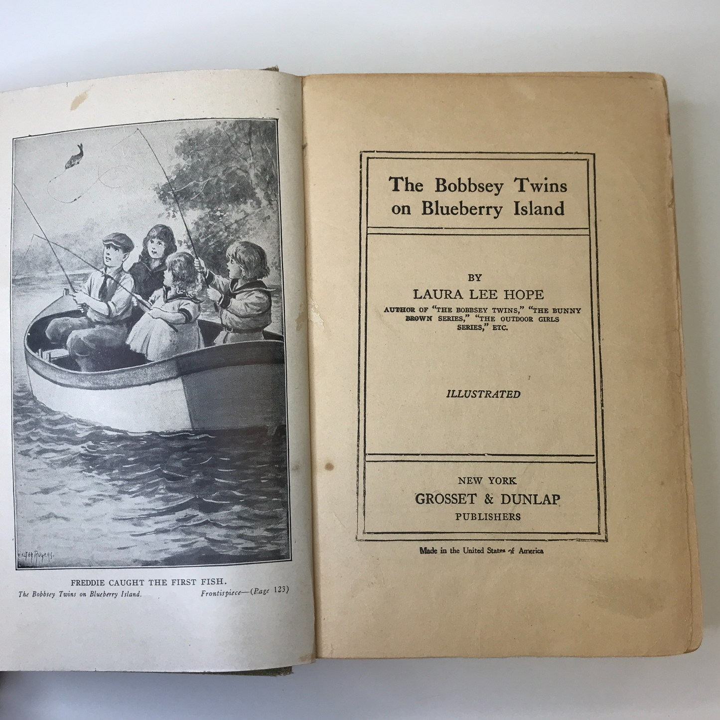 The Bobby Twins on Blueberry Island - Laura Lee Hope - 1st Edition - 1917