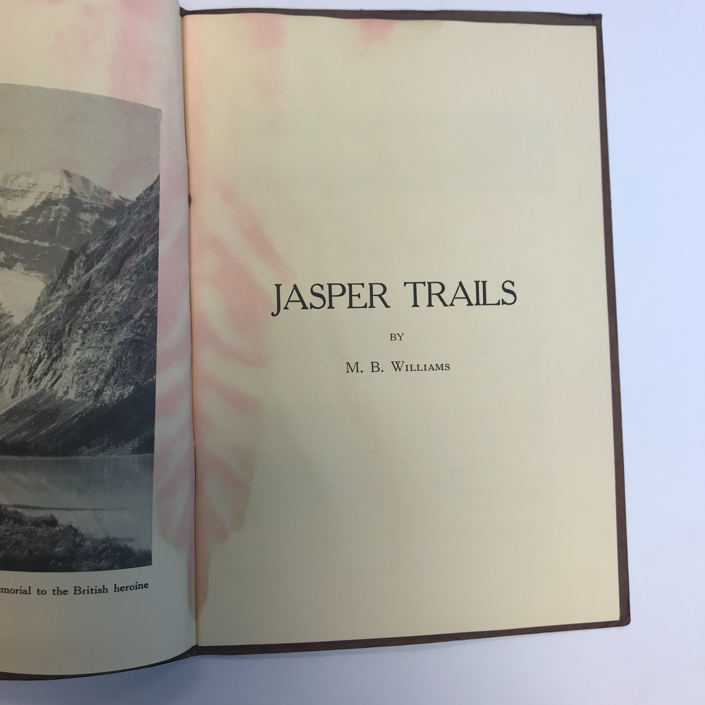 Jasper Trails - M. B. Williams