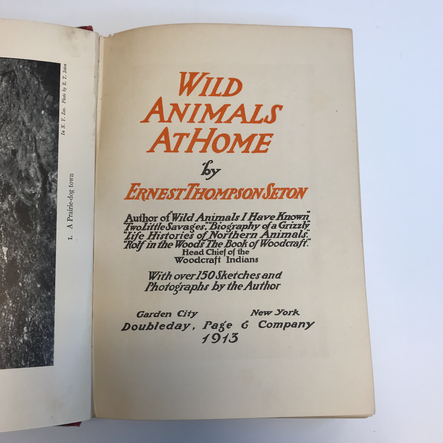 Wild Animals At Home - Ernest Thompson Seton - 1st Edition - 1912