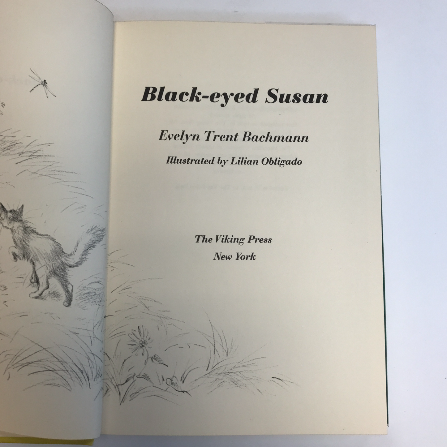 Black-Eyed Susan - Evelyn Trent Bachmann - Missouri Signed - 1968