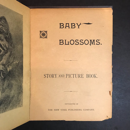 Baby Blossom - The New York Publishing Company - Circa 1890