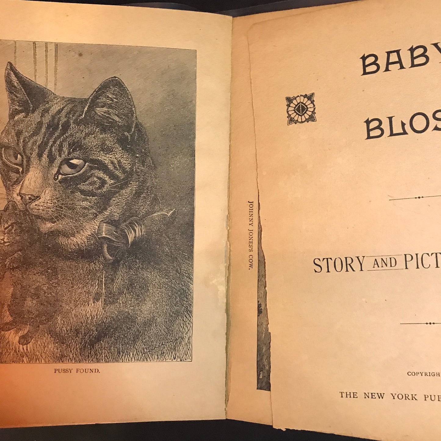 Baby Blossom - The New York Publishing Company - Circa 1890