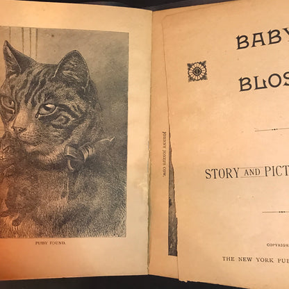 Baby Blossom - The New York Publishing Company - Circa 1890