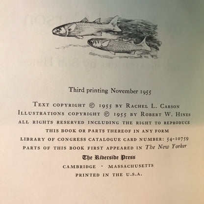 The Edge of the Sea - Rachel Carson - Third Print - 1955