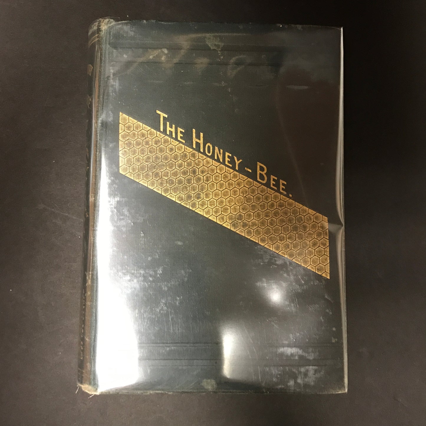 The Honey Bee - L. L. Langstroth - 3rd Edition - 1896