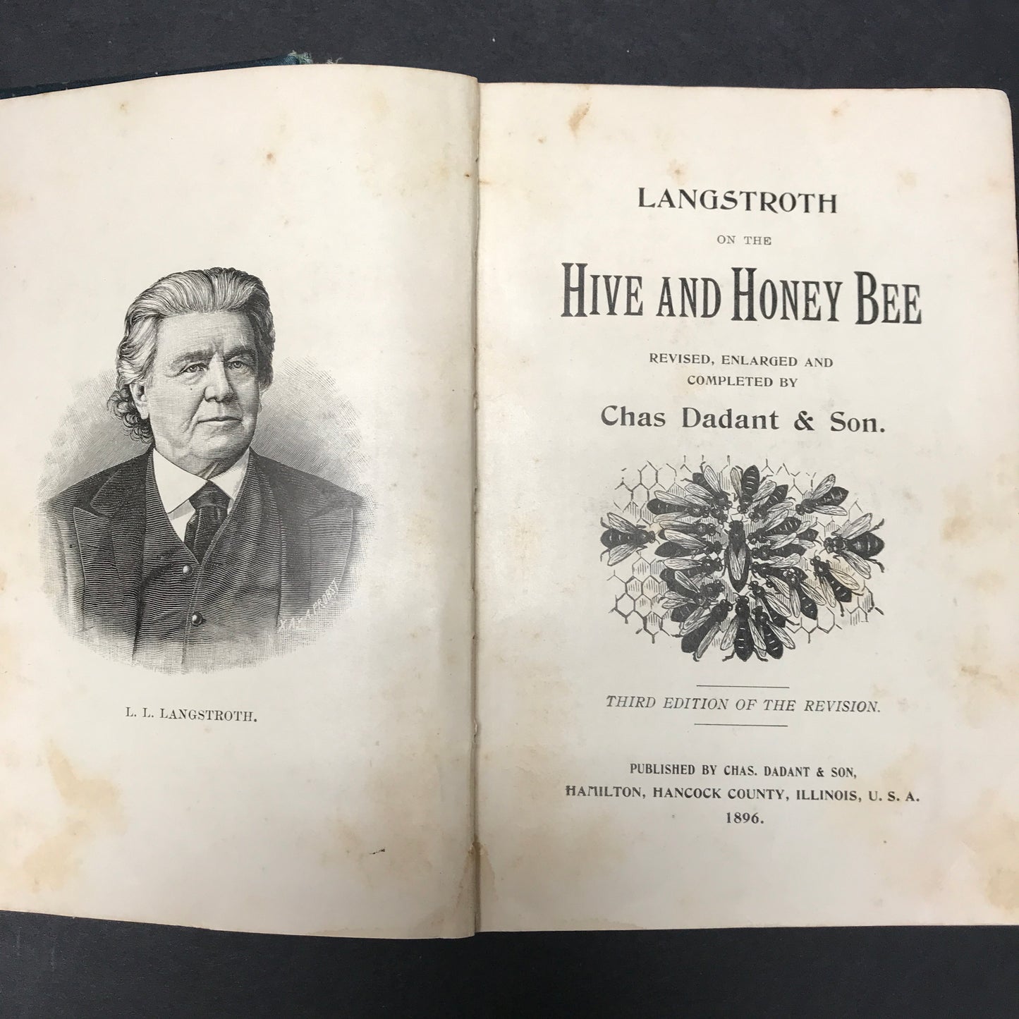 The Honey Bee - L. L. Langstroth - 3rd Edition - 1896