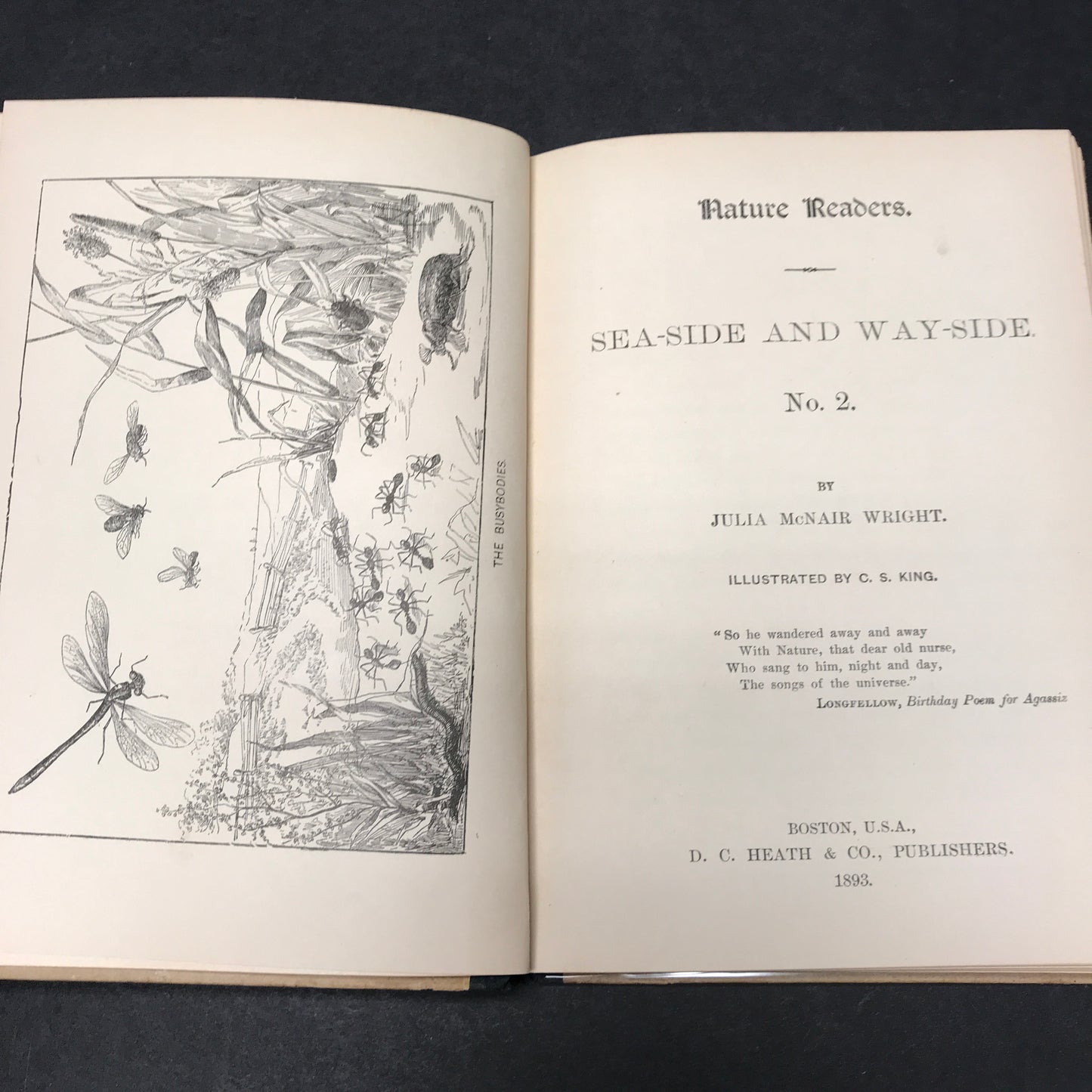 Sea Side and Way Side - Julia McNair Wright - #2 - 1893