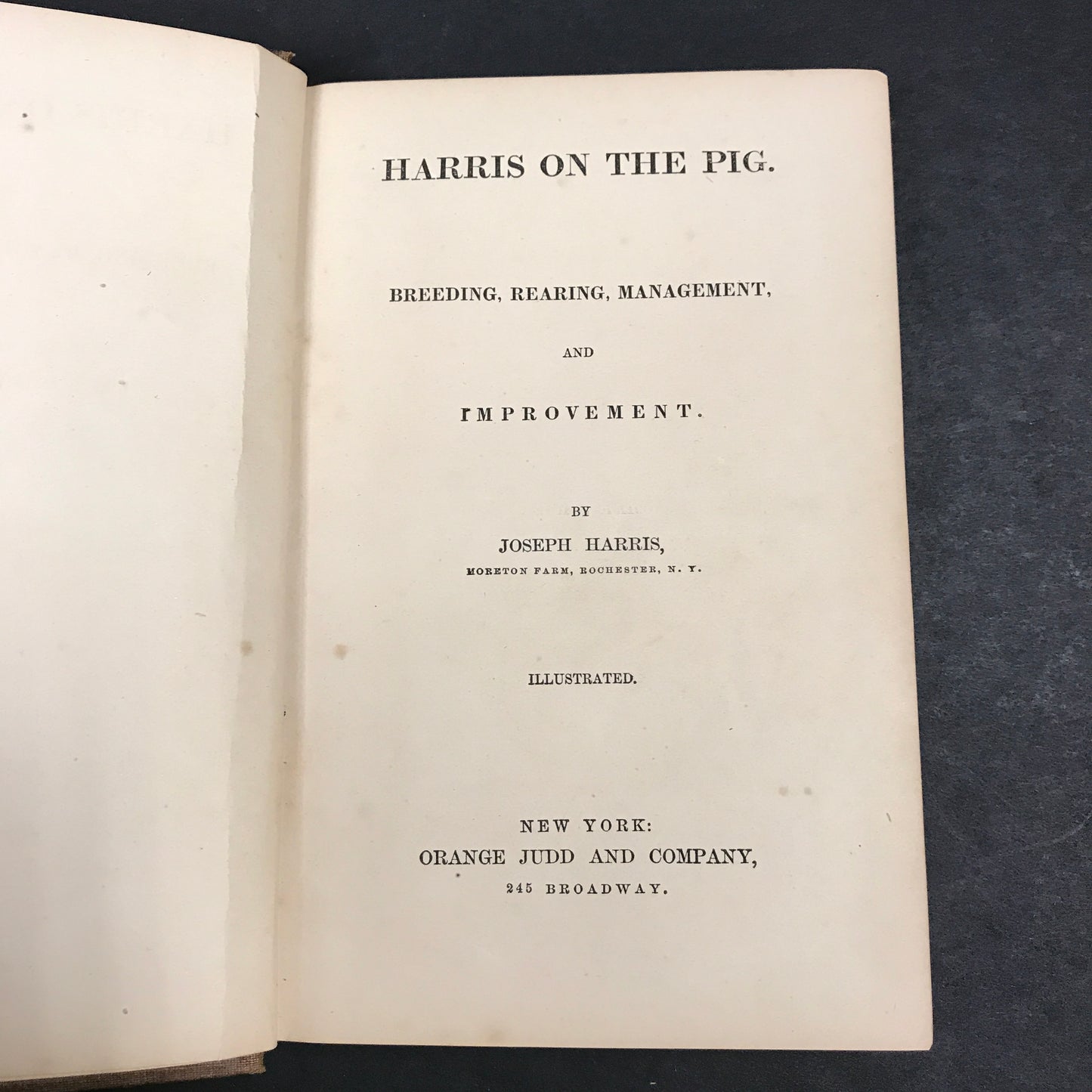 Harris on the Pig - Joseph Harris - 1st Edition - Scarce - 1870