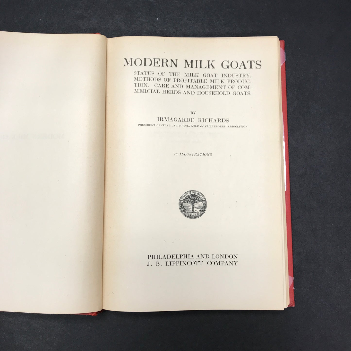 Modern Milk Goats - Irmagarde Richards - 1st Edition - 1921