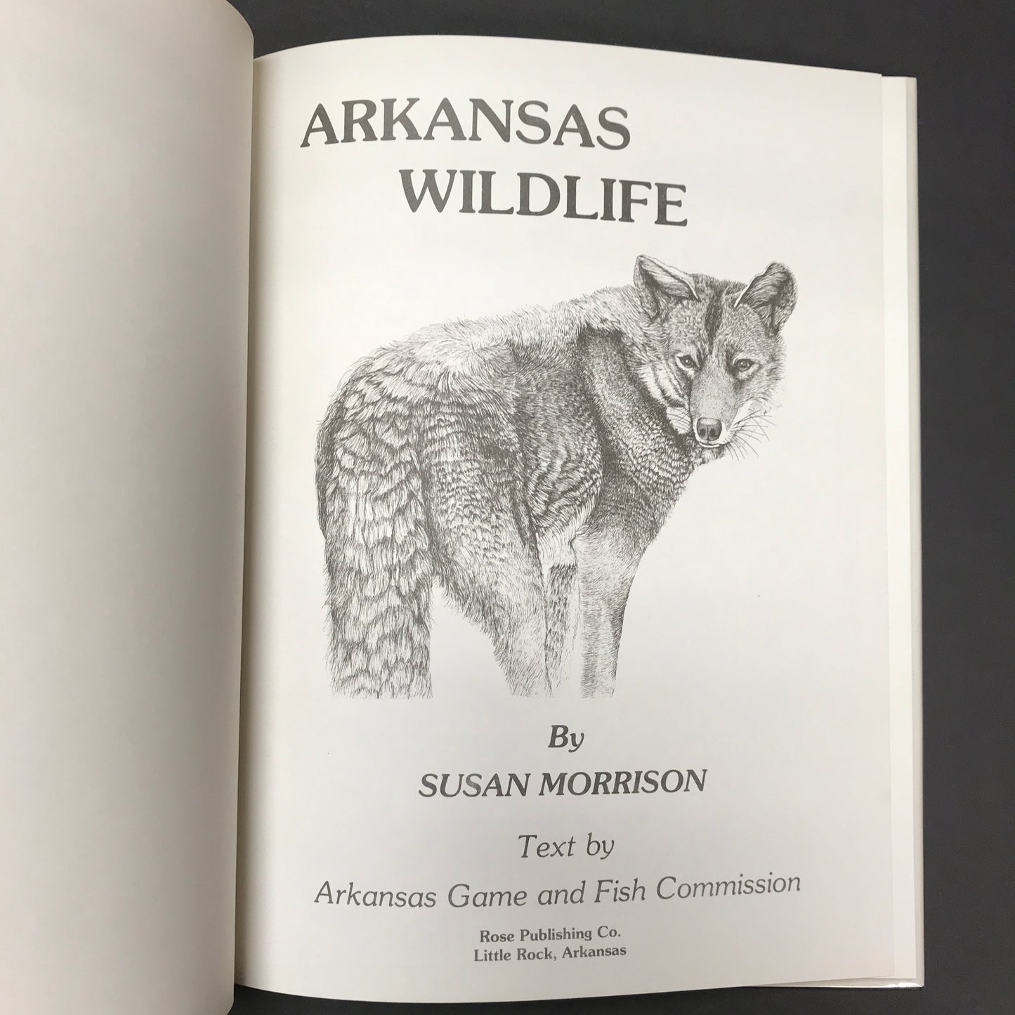 Arkansas Wildlife - Susan Morrison - 1980