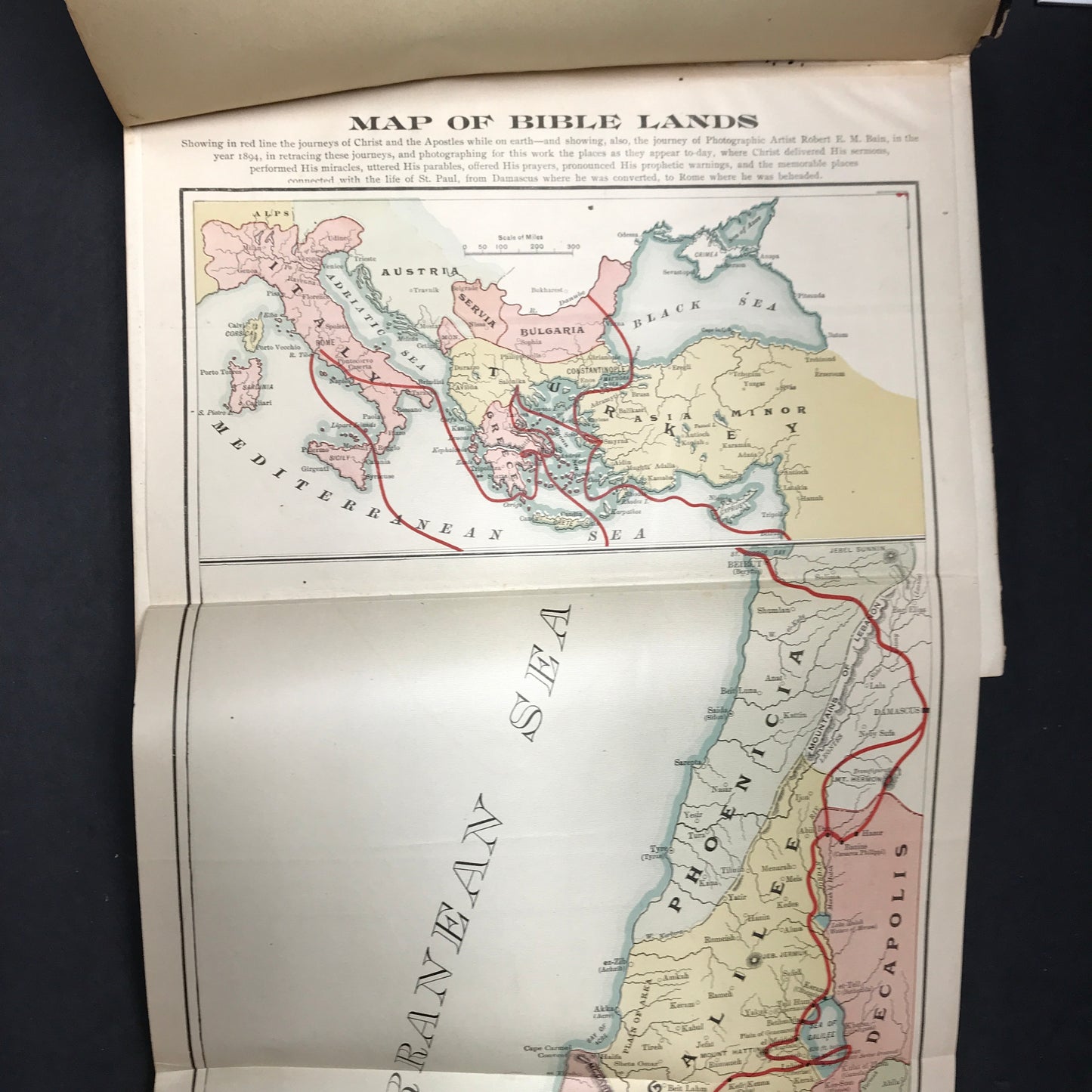 The New Testament - Various - Includes Map - 1895