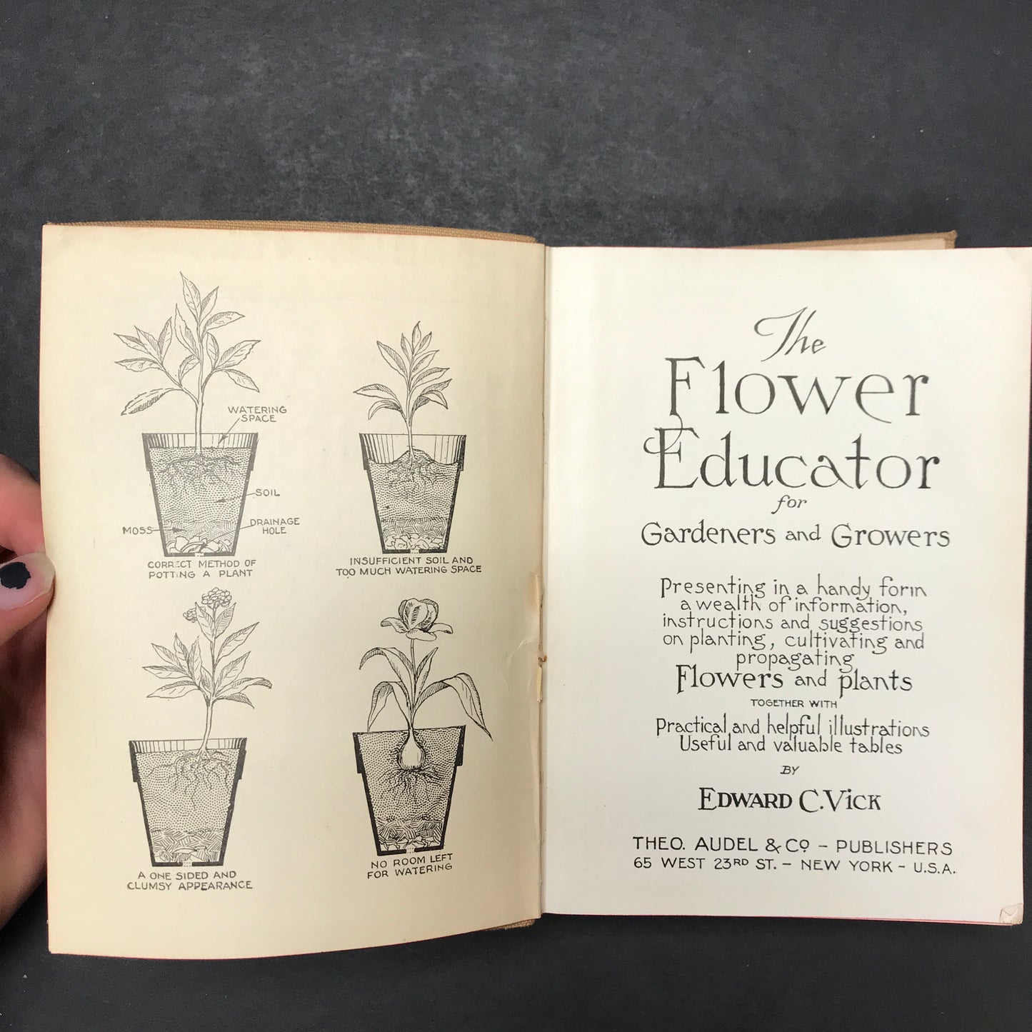 The Flower Educator - Edward C. Vick - 1928