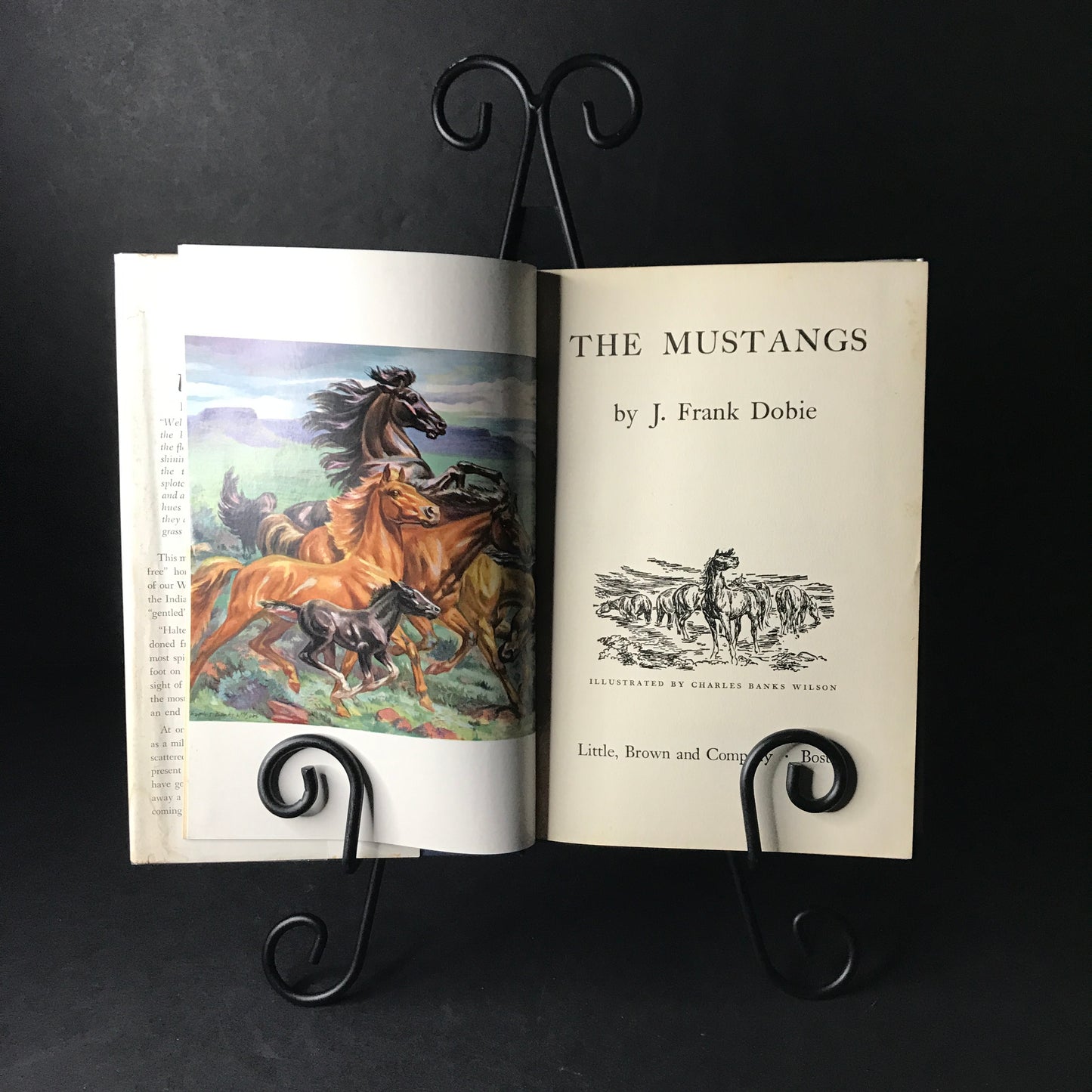 The Mustangs - J. Frank Dobie - First Edition - 1952