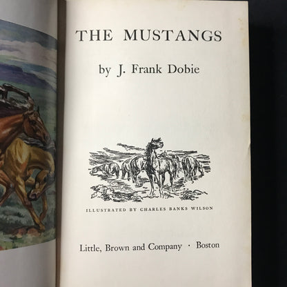 The Mustangs - J. Frank Dobie - First Edition - 1952