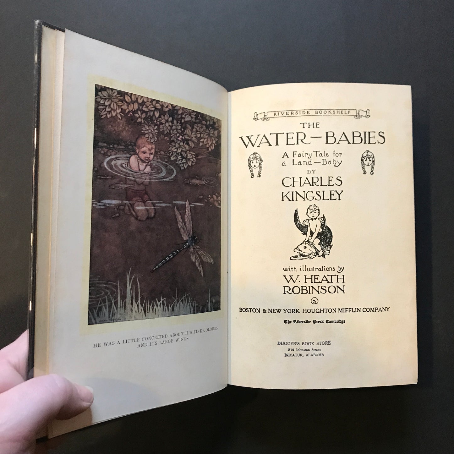 The Water Babies - Charles Kingsley - 1923