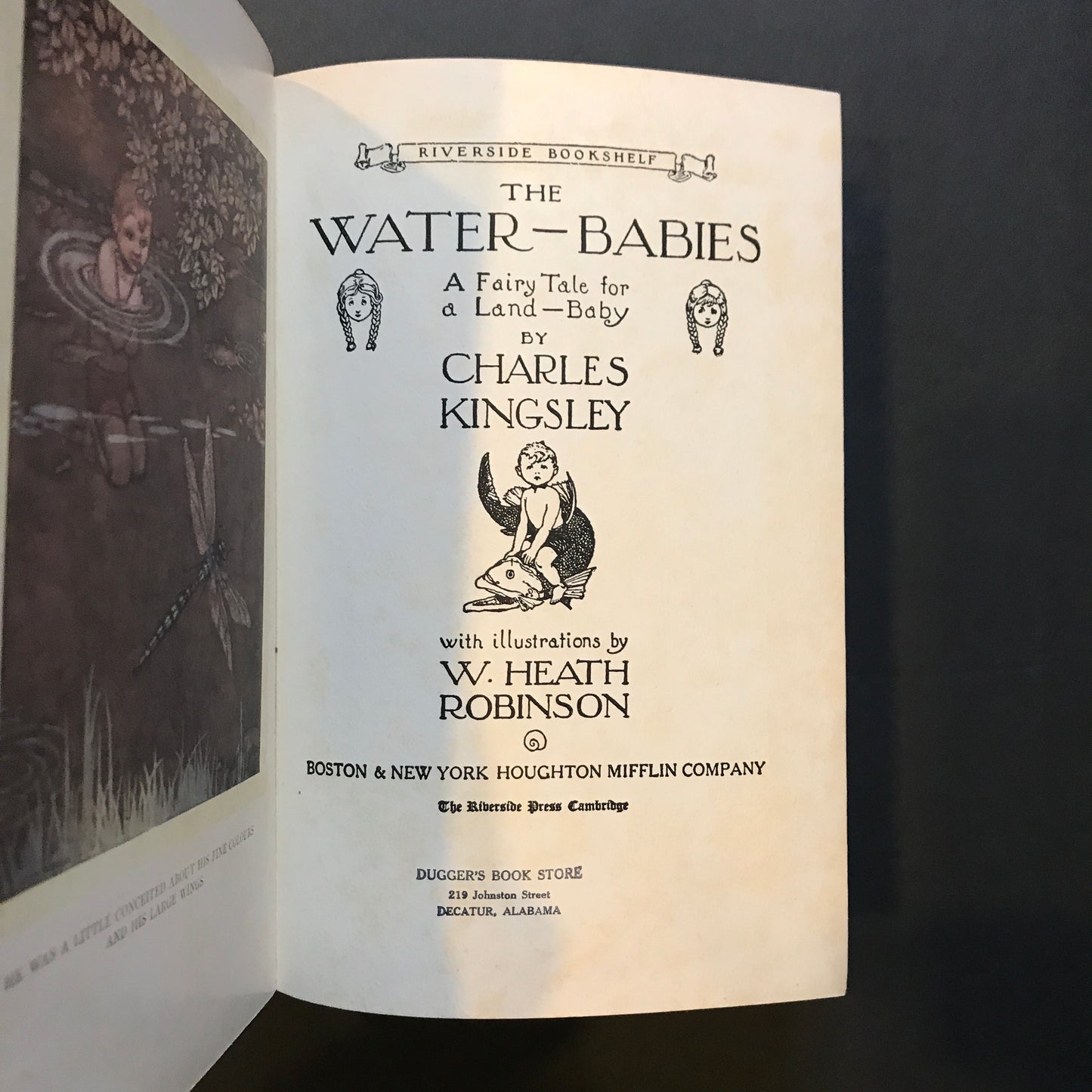 The Water Babies - Charles Kingsley - 1923