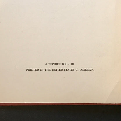 Hawthorne's Wonder Book - Nathaniel Hawthorne - 1st Thus - 1928