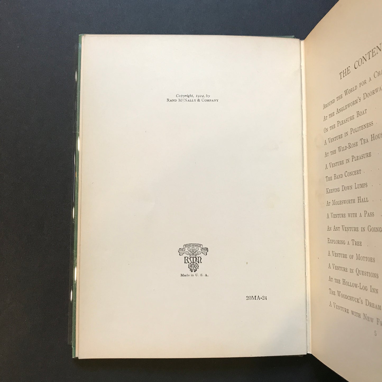 Ant Ventures - Blanche Elizabeth Wade - 1st Edition - Illustrated by Harrison Cady - 1924