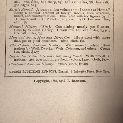 Illustrated Natural History - Rev. J. G. Wood - 1886