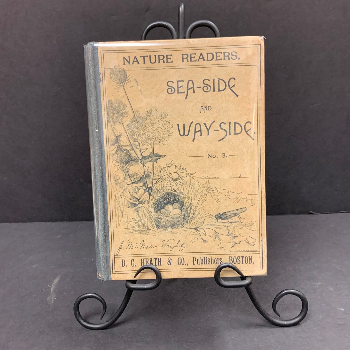 Sea Side and Way Side - Julia McNair Wright - #3 - 1893