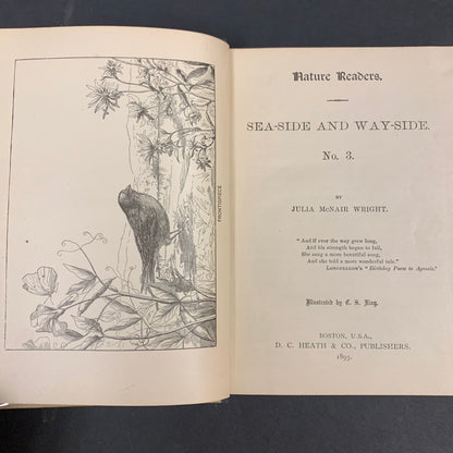 Sea Side and Way Side - Julia McNair Wright - #3 - 1893