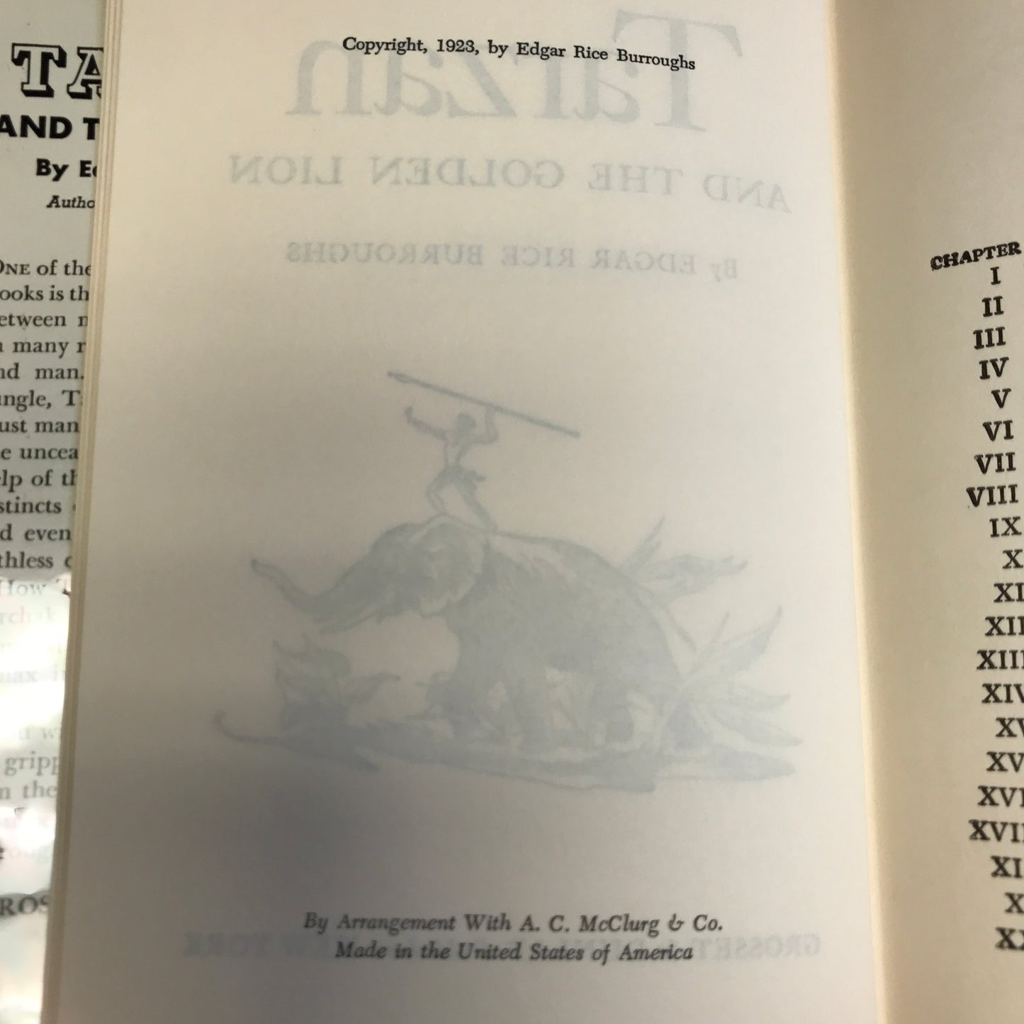 Tarzan and the Golden Lion - Edgar Rice Burroughs - 1923 Reprint