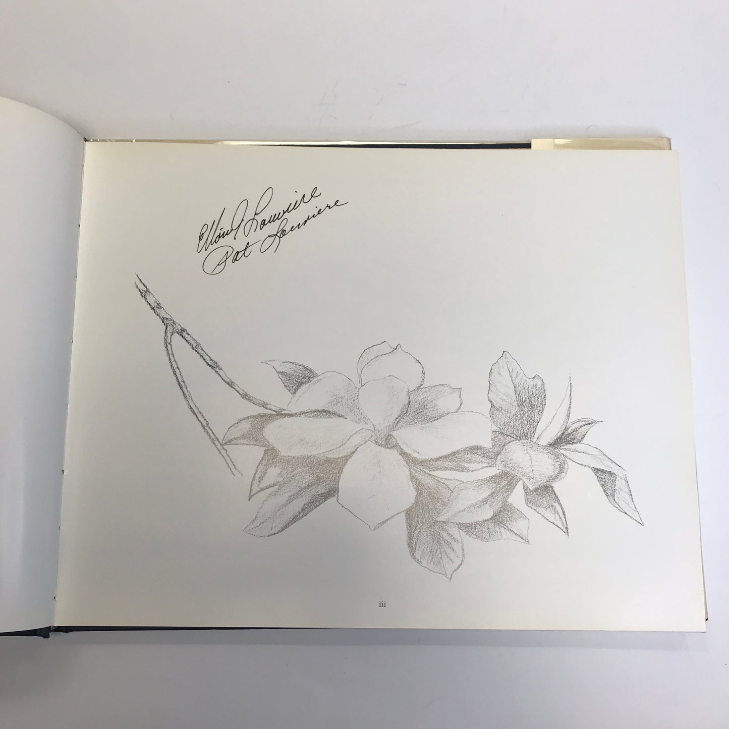 Images of Louisiana - Signed - 1st Edition - 1988