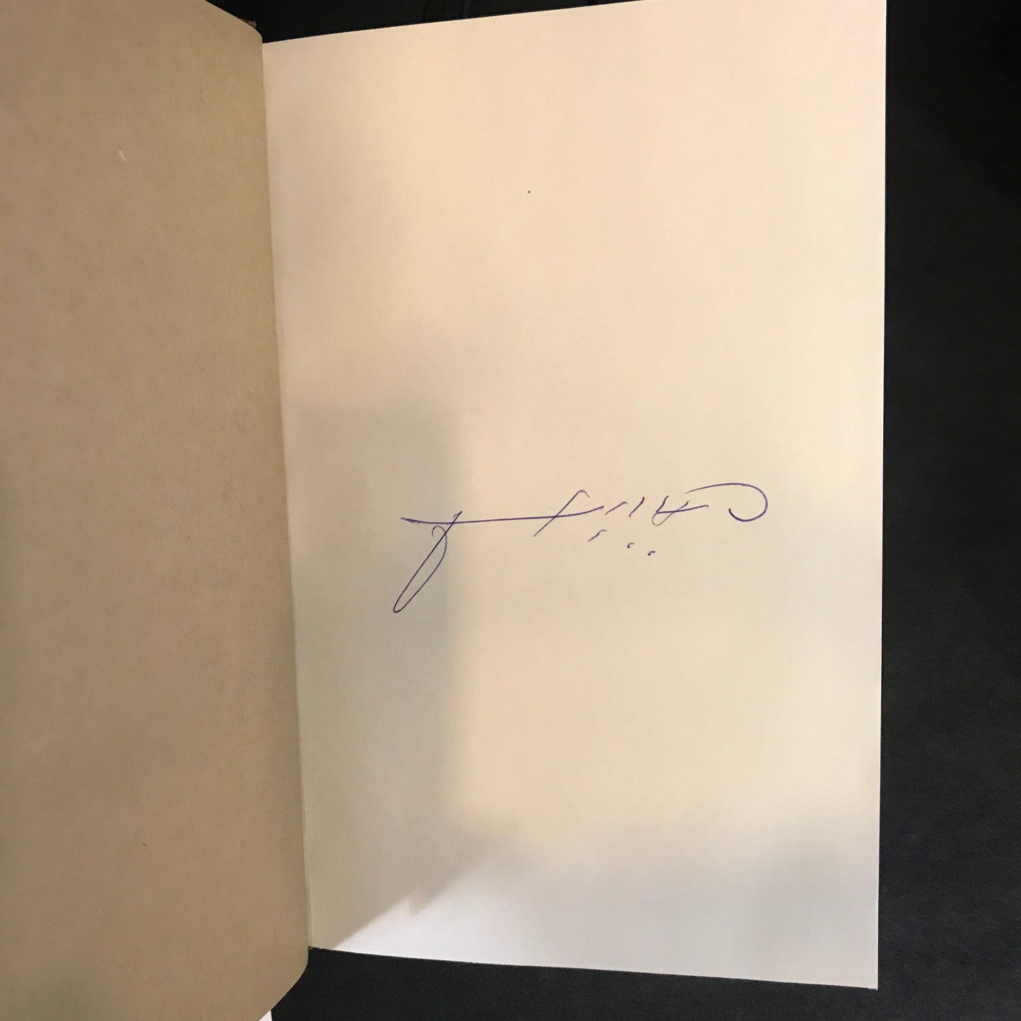 M Train - Patti Smith - 2015 - Signed - 1st Edition