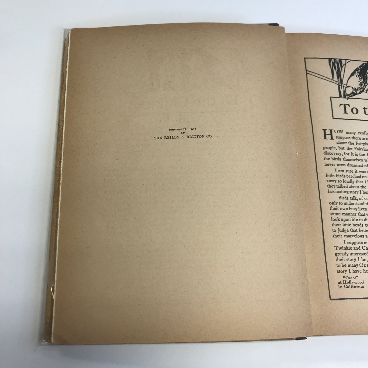 Babes in Birdland: A Nature Fairytale - L. Frank Baum - 1911