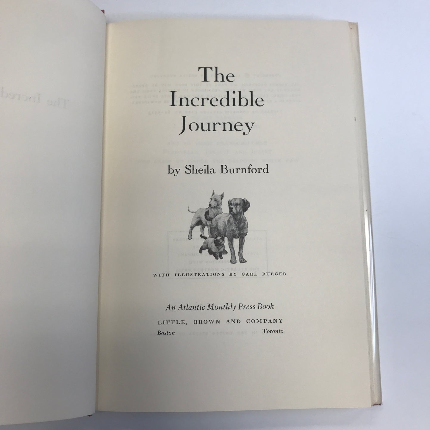 The Incredible Journey - Shelia Burnford - 1961