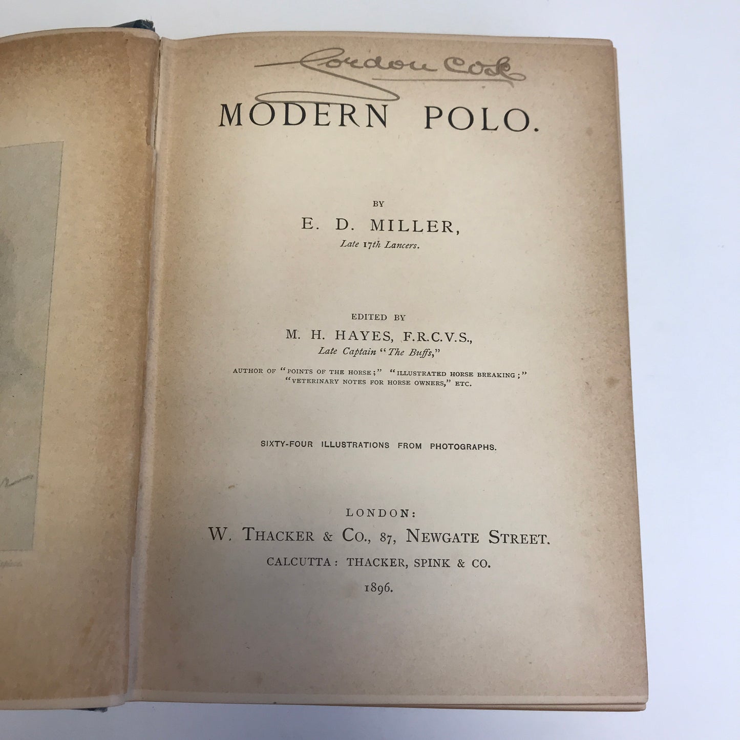 Modern Polo - E. D. Miller - 1896