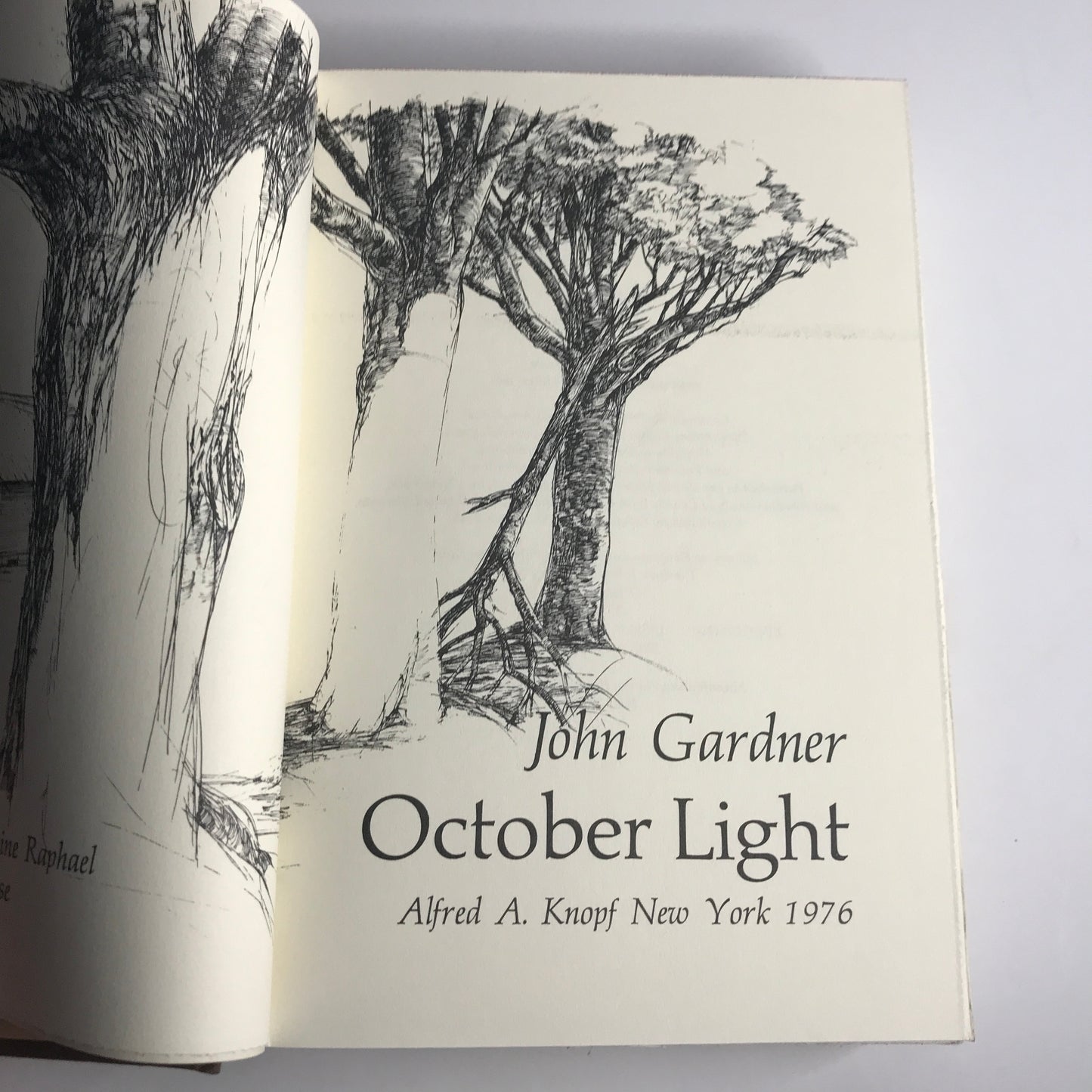 October Light - John Gardner - 1st Ed - 1976