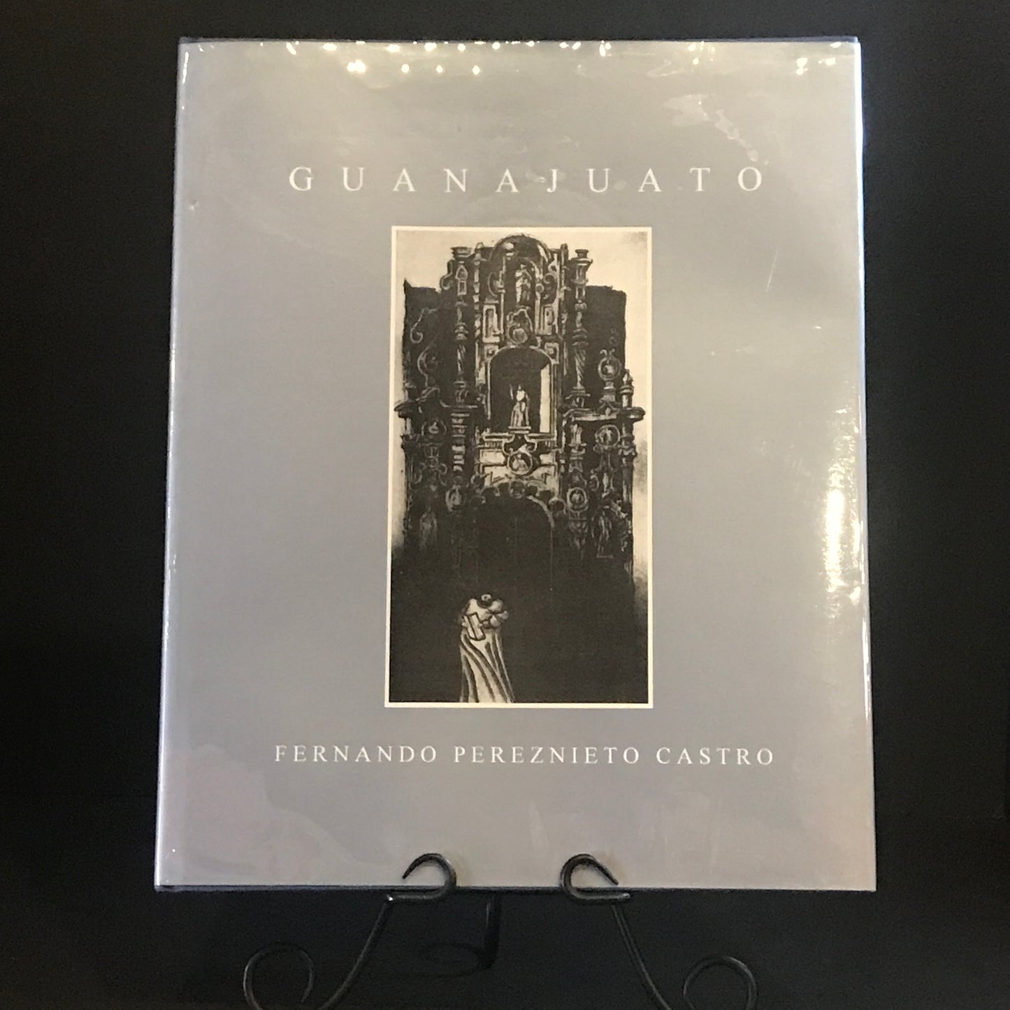 Guanajuato - Fernando Pereznieto Castro - First Edition - 1995